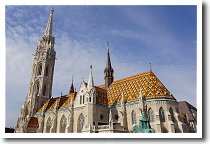 �}�[�`���[�V������