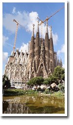 �T�O�N���_�t�@�~���A