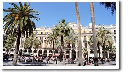 ���C�A�[���L��