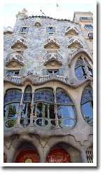 �J�T�o�g����