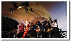 �t�������R