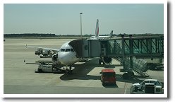 �G�[���t�����X