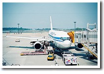 �A�G���t���[�g�E���V�A�q��