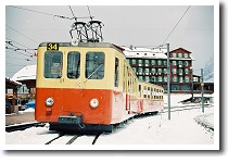 �����O�t���E�S��