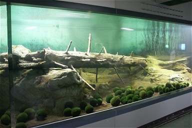 �}�����W���ϑ��Z���^�[