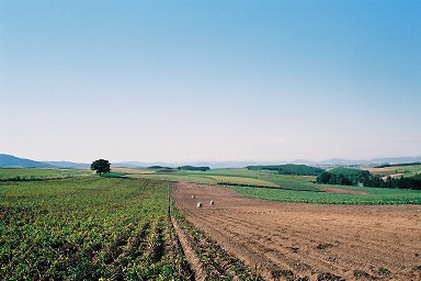 �Z�u���X�^�[�̖�