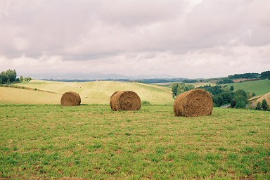 ���[���̂��镗�i