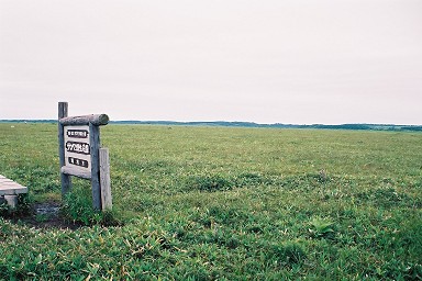 �T���x�c����