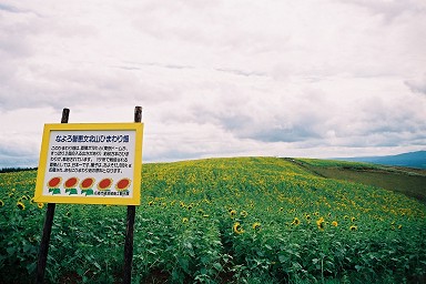 �k���̂Ђ܂�蔨