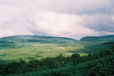 �J��������