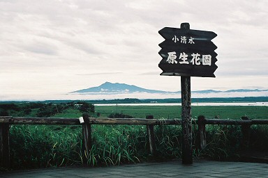 �����������ԉ�