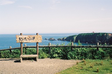 �����z��