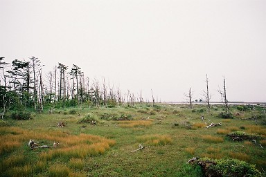 �g�h����