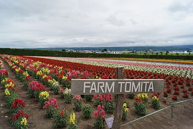 �t�@�[���x�c