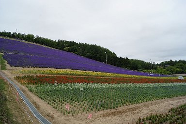 ���x�ǖ쒬�c���x���_�[��