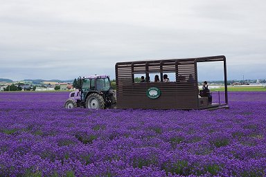 ���x���_�[�C�[�X�g