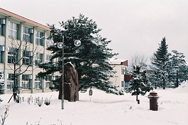 �k�C���ւ��̔�