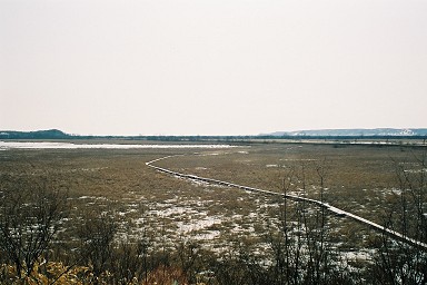 ���H�����V����