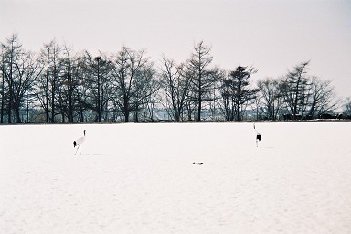 �����̒O����