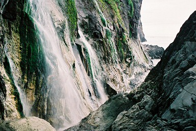 �j�̟��i��e�̑�j