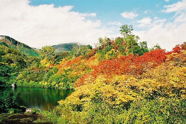 ��������i�������j