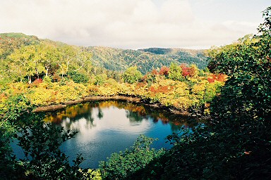 ��������i�������j