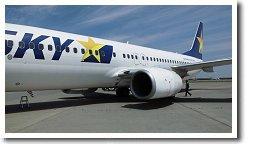 �X�J�C�}�[�N