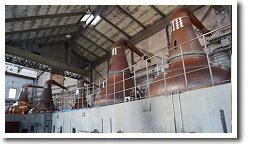 �j�b�J�E���X�L�[�H��