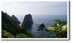 ����ӊC��