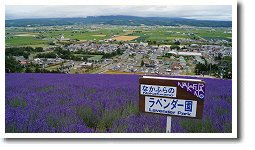 ���c�ό���