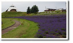 �k���̋u�W�]��