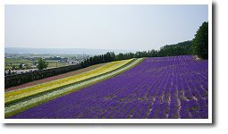 �t�@�[���x�c