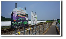 ���x���_�[���w