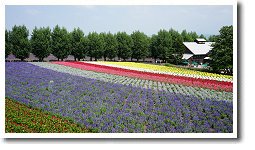 �t�@�[���x�c