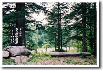 ���R����