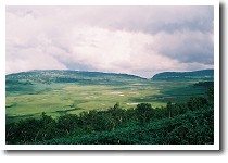 �J��������