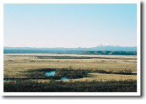 �T���{�W�]��