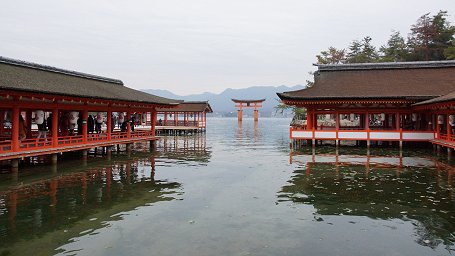 �����_��