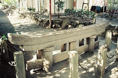 ���_���v����