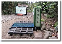 �T���N�`���A��