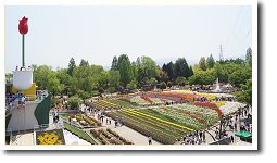 �v�g�`���[���b�v�܂�