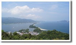 �V�����򗴊�