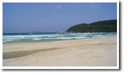 ���l�C������