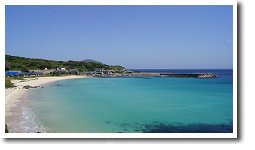 打折教会前の海