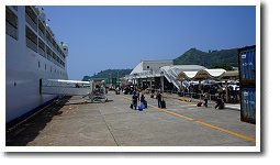 �����񌩍`