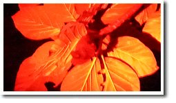 �I�K�T�����I�I�R�E����