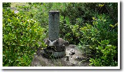 �����^�i