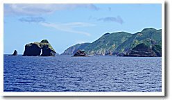 �꓇�l�{��