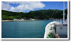 �꓇�l�{��