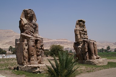 �����m���̋���